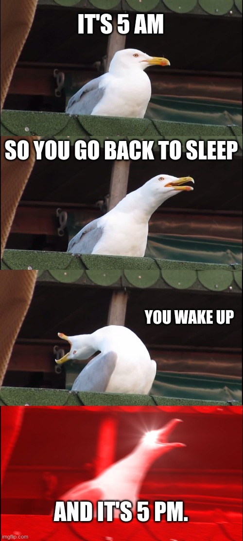 Yep it happens | IT'S 5 AM; SO YOU GO BACK TO SLEEP; YOU WAKE UP; AND IT'S 5 PM. | image tagged in memes,inhaling seagull | made w/ Imgflip meme maker