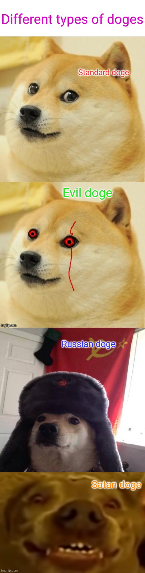Different types of doges; Standard doge; Evil doge; Russian doge; Satan doge | image tagged in memes,doge,evil doge,russian doge,satan doggo | made w/ Imgflip meme maker