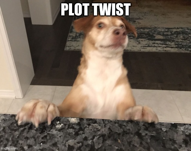 Plot twist | PLOT TWIST | image tagged in plot twist | made w/ Imgflip meme maker