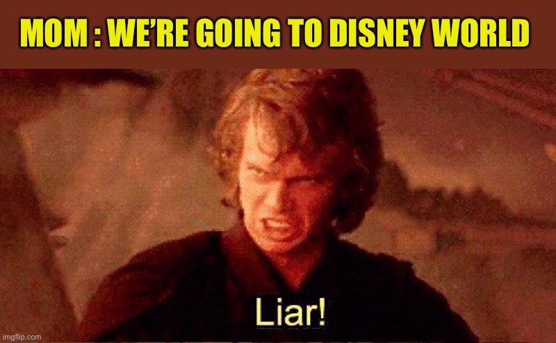 Anakin Liar! | MOM : WE’RE GOING TO DISNEY WORLD | image tagged in anakin liar | made w/ Imgflip meme maker