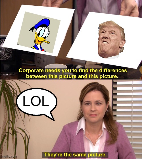 They're The Same Picture Meme | LOL | image tagged in memes,they're the same picture | made w/ Imgflip meme maker