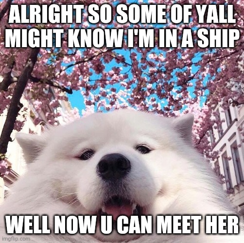 ALRIGHT SO SOME OF YALL MIGHT KNOW I'M IN A SHIP; WELL NOW U CAN MEET HER | made w/ Imgflip meme maker