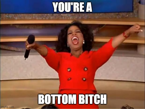 Oprah You Get A | YOU'RE A; BOTTOM BITCH | image tagged in memes,oprah you get a | made w/ Imgflip meme maker