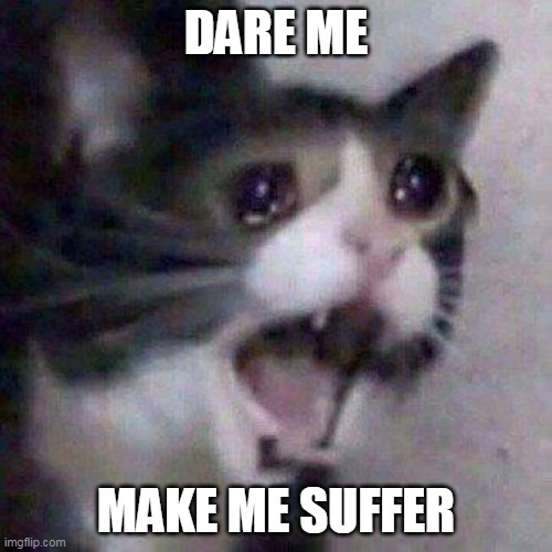 Cat Screaming | DARE ME; MAKE ME SUFFER | image tagged in cat screaming | made w/ Imgflip meme maker