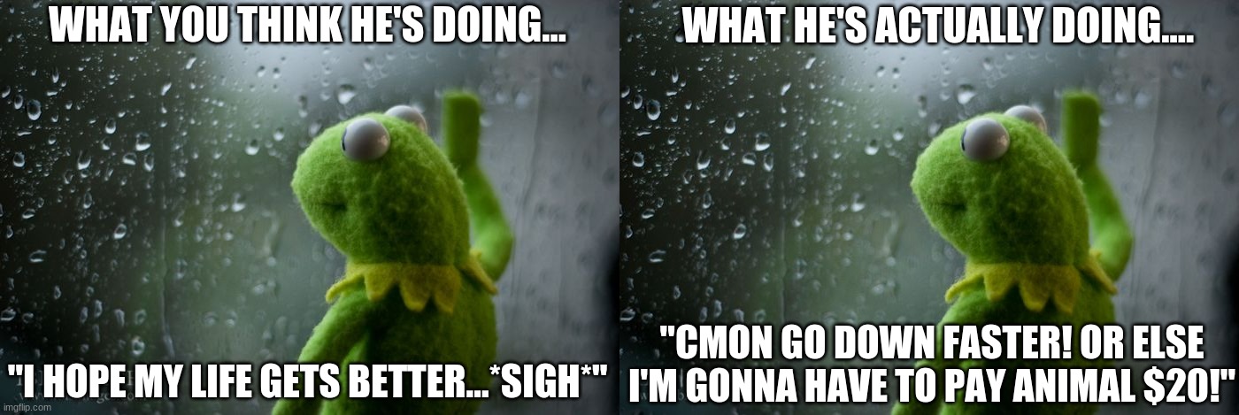 WHAT HE'S ACTUALLY DOING... WHAT YOU THINK HE'S DOING... "I HOPE MY LIFE GETS BETTER...*SIGH*"; "CMON GO DOWN FASTER! OR ELSE I'M GONNA HAVE TO PAY ANIMAL $20!" | image tagged in kermit window | made w/ Imgflip meme maker