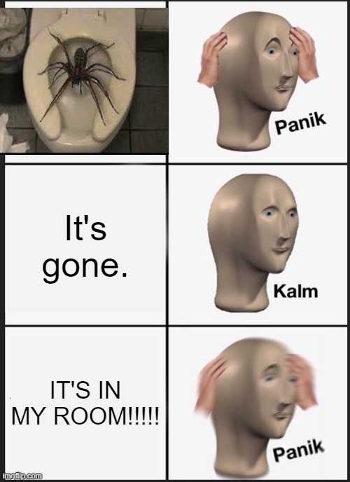 Panik Kalm Panik | It's gone. IT'S IN MY ROOM!!!!! | image tagged in memes,panik kalm panik | made w/ Imgflip meme maker