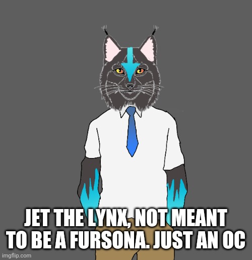 His design is sorta based of Mega Charizard X and Avatar. He is a water bender actually. | JET THE LYNX, NOT MEANT TO BE A FURSONA. JUST AN OC | made w/ Imgflip meme maker