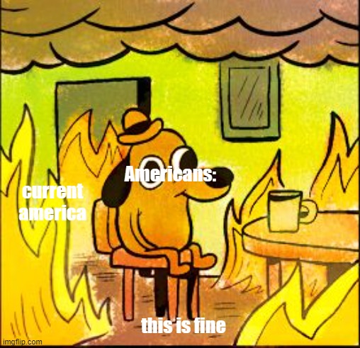 this if fine | Americans:; current america; this is fine | image tagged in this is fine | made w/ Imgflip meme maker