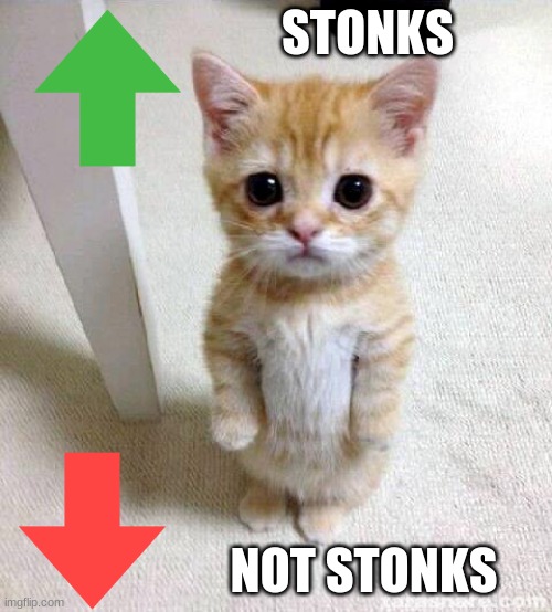 Cute Cat | STONKS; NOT STONKS | image tagged in memes,cute cat | made w/ Imgflip meme maker