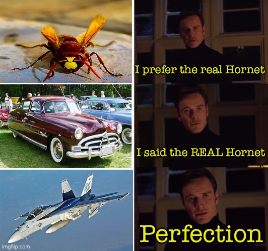 People who love the Hornet | I prefer the real Hornet; I said the REAL Hornet; Perfection | image tagged in perfection,hornet,memes,evolution,funny | made w/ Imgflip meme maker