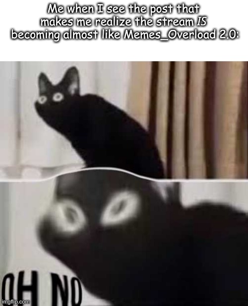 Me when I see the post that makes me realize the stream 𝘐𝘚
 becoming almost like Memes_Overload 2.0: | made w/ Imgflip meme maker