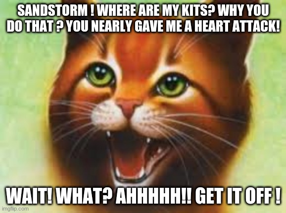 Warrior cats Firestar | SANDSTORM ! WHERE ARE MY KITS? WHY YOU DO THAT ? YOU NEARLY GAVE ME A HEART ATTACK! WAIT! WHAT? AHHHHH!! GET IT OFF ! | image tagged in warrior cats firestar | made w/ Imgflip meme maker