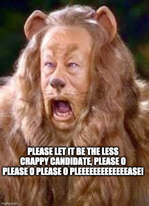 PLEASE LET IT BE THE LESS CRAPPY CANDIDATE, PLEASE O PLEASE O PLEASE O PLEEEEEEEEEEEEEASE! | image tagged in lion,coward,politics,funny | made w/ Imgflip meme maker