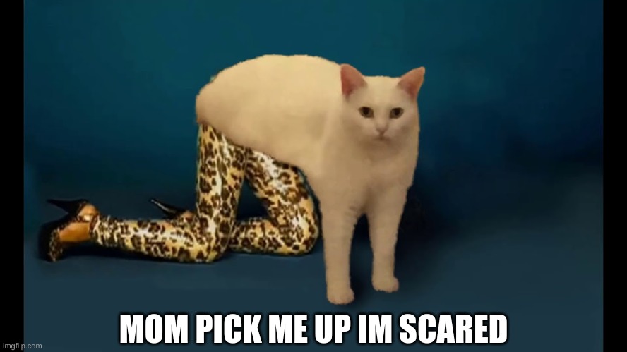 werk dat | MOM PICK ME UP IM SCARED | image tagged in cursed cat,posing,cat | made w/ Imgflip meme maker
