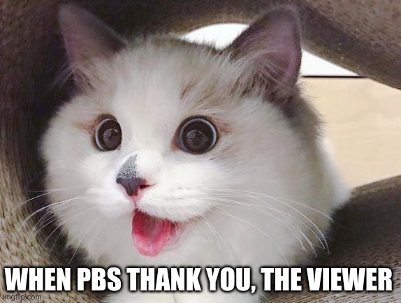 thanks to viewers like you | WHEN PBS THANK YOU, THE VIEWER | image tagged in happy cat,pbs kids,cute cat | made w/ Imgflip meme maker