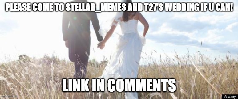 thank you! | PLEASE COME TO STELLAR_MEMES AND T27'S WEDDING IF U CAN! LINK IN COMMENTS | image tagged in marriage | made w/ Imgflip meme maker