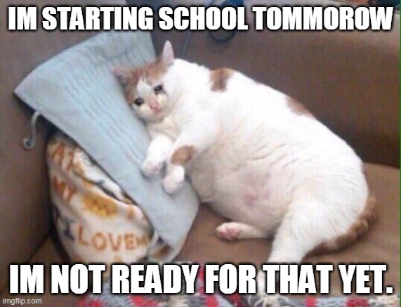 Crying cat | IM STARTING SCHOOL TOMMOROW; IM NOT READY FOR THAT YET. | image tagged in crying cat | made w/ Imgflip meme maker