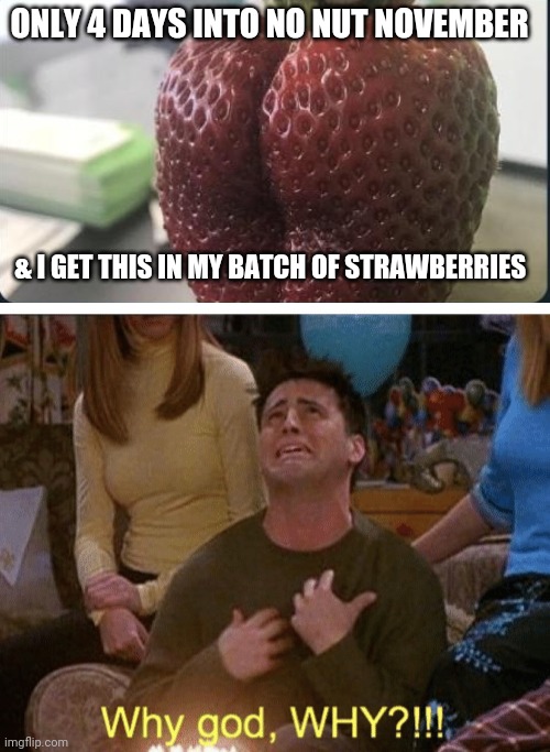 Why me? | ONLY 4 DAYS INTO NO NUT NOVEMBER; & I GET THIS IN MY BATCH OF STRAWBERRIES | image tagged in no nut november,strawberry | made w/ Imgflip meme maker