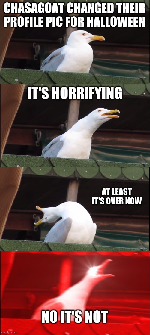 4kzn0w.jpg