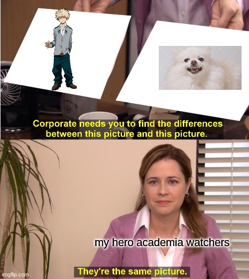They're The Same Picture | my hero academia watchers | image tagged in memes,they're the same picture | made w/ Imgflip meme maker