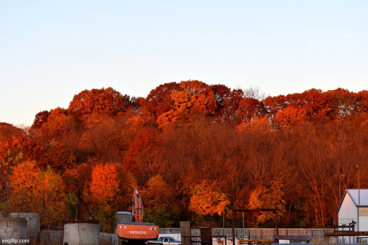 carbon cliff hill at sunrise 11/4/20 | image tagged in fall,colors,kewlew | made w/ Imgflip meme maker