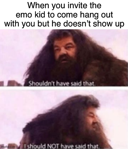 I should not have said that | When you invite the emo kid to come hang out with you but he doesn’t show up | image tagged in blank white template,shouldn't have said that,emo,funny,memes | made w/ Imgflip meme maker