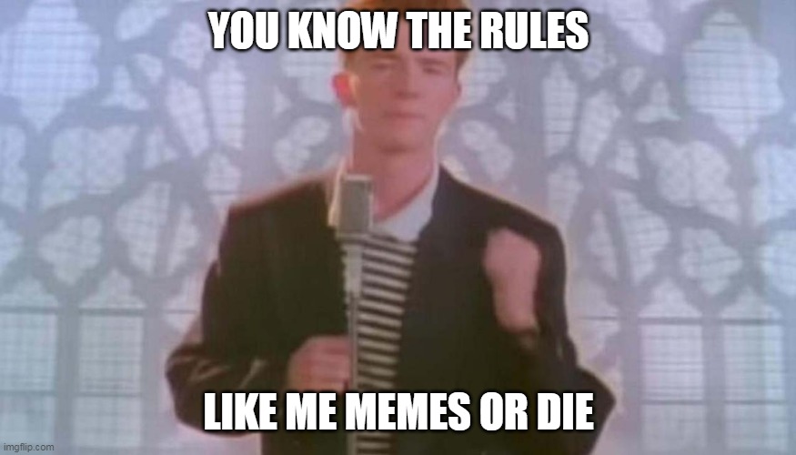 Never gonna give you up | YOU KNOW THE RULES; LIKE ME MEMES OR DIE | image tagged in never gonna give you up | made w/ Imgflip meme maker