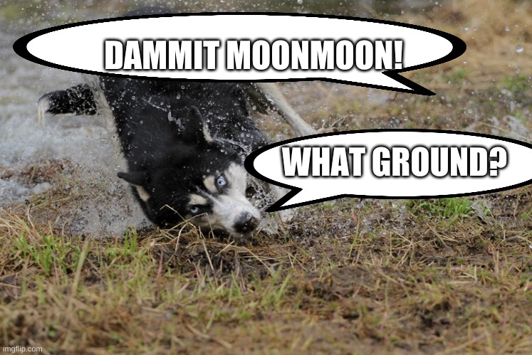 no moonmoon | DAMMIT MOONMOON! WHAT GROUND? | image tagged in moonmoon | made w/ Imgflip meme maker