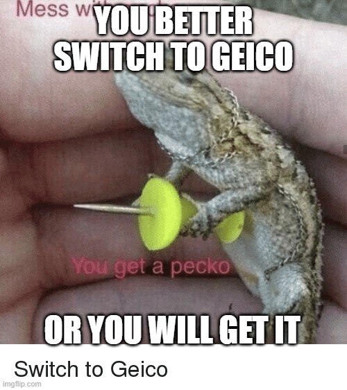 switch to geico | YOU BETTER SWITCH TO GEICO; OR YOU WILL GET IT | image tagged in memes | made w/ Imgflip meme maker