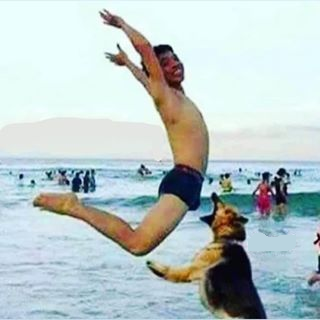 Man jumping into dog bite Blank Meme Template