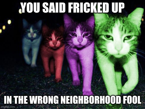 Wrong Neighborhood RayCats | YOU SAID FRICKED UP IN THE WRONG NEIGHBORHOOD FOOL | image tagged in wrong neighborhood raycats | made w/ Imgflip meme maker