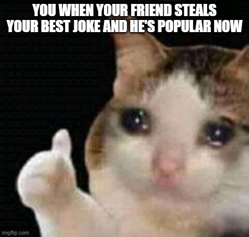 sad thumbs up cat | YOU WHEN YOUR FRIEND STEALS YOUR BEST JOKE AND HE'S POPULAR NOW | image tagged in sad thumbs up cat | made w/ Imgflip meme maker