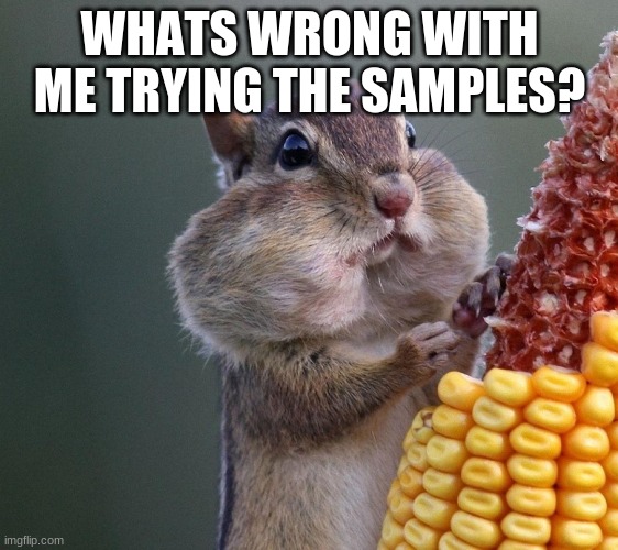 nothing | WHATS WRONG WITH ME TRYING THE SAMPLES? | image tagged in thanksgiving squirrel | made w/ Imgflip meme maker