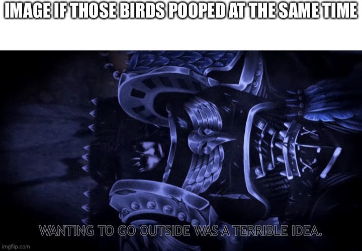 Outside was a terrible idea. | IMAGE IF THOSE BIRDS POOPED AT THE SAME TIME | image tagged in outside was a terrible idea | made w/ Imgflip meme maker