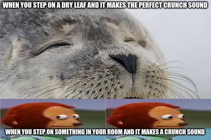 OoOoOoOoOoOoHhHhHhH | WHEN YOU STEP ON A DRY LEAF AND IT MAKES THE PERFECT CRUNCH SOUND; WHEN YOU STEP ON SOMETHING IN YOUR ROOM AND IT MAKES A CRUNCH SOUND | image tagged in custom template | made w/ Imgflip meme maker