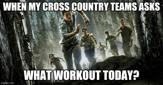 Runner | image tagged in cross country,maze runner,dylan o'brien,thomas sangster | made w/ Imgflip meme maker