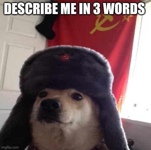 Russian Doge | DESCRIBE ME IN 3 WORDS | image tagged in russian doge | made w/ Imgflip meme maker