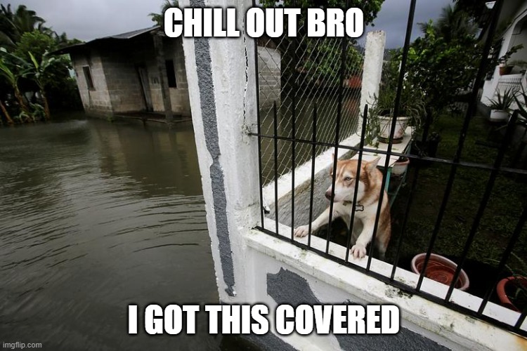 I got this bro | CHILL OUT BRO; I GOT THIS COVERED | image tagged in i got this | made w/ Imgflip meme maker