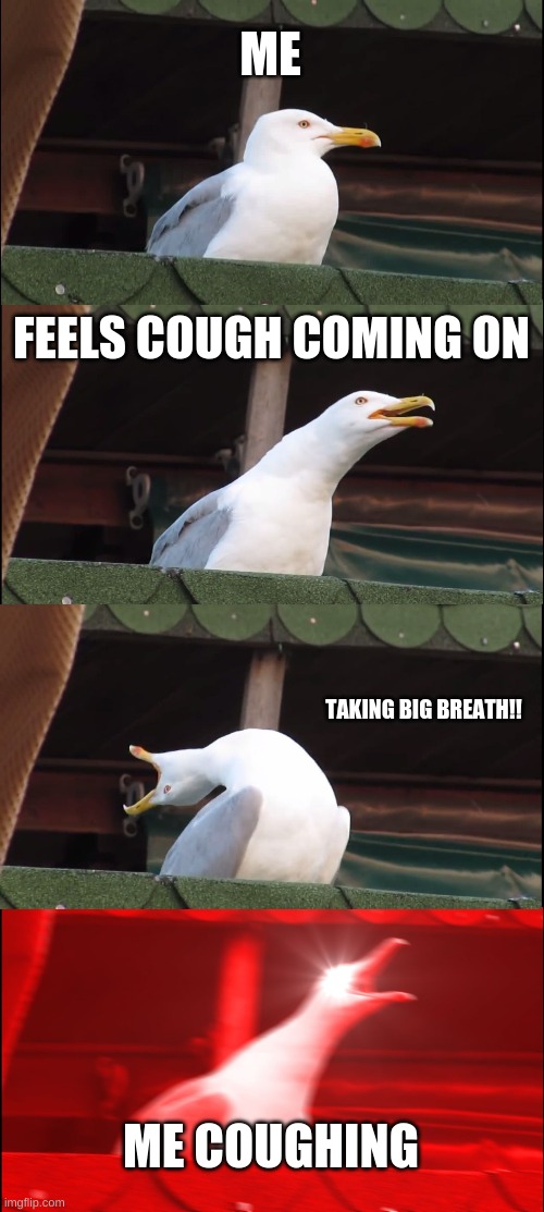 so true now | ME; FEELS COUGH COMING ON; TAKING BIG BREATH!! ME COUGHING | image tagged in memes,inhaling seagull | made w/ Imgflip meme maker