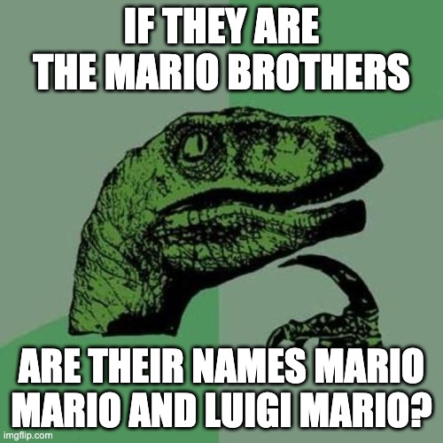 raptor | IF THEY ARE THE MARIO BROTHERS; ARE THEIR NAMES MARIO MARIO AND LUIGI MARIO? | image tagged in raptor | made w/ Imgflip meme maker
