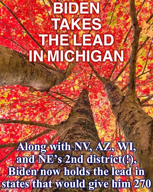 Thank u Michigan and, of course, Nebraska’s 2nd District. | BIDEN TAKES THE LEAD IN MICHIGAN; Along with NV, AZ, WI, and NE’s 2nd district(!), Biden now holds the lead in states that would give him 270 | image tagged in autumn leaves in michigan,election 2020,2020 elections,michigan,election,votes | made w/ Imgflip meme maker