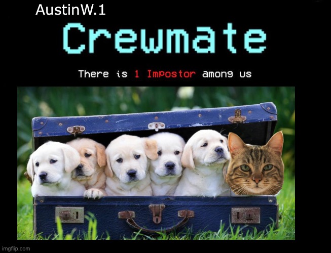 There is 1 imposter among us | AustinW.1 | image tagged in among us,there is 1 imposter among us,imposter,puppies,dog,memes | made w/ Imgflip meme maker