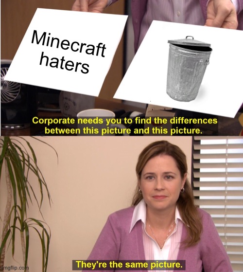 trueeee | Minecraft haters | image tagged in memes,they're the same picture | made w/ Imgflip meme maker