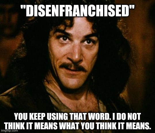 Disenfranchised, you keep using that word. | "DISENFRANCHISED"; YOU KEEP USING THAT WORD. I DO NOT THINK IT MEANS WHAT YOU THINK IT MEANS. | image tagged in memes,inigo montoya | made w/ Imgflip meme maker