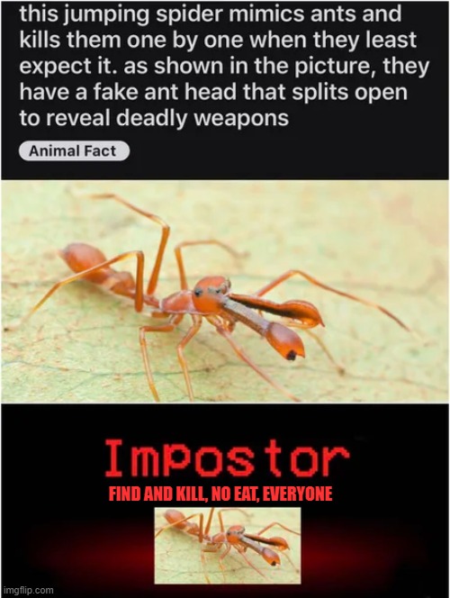 There is an imposter among us | FIND AND KILL, NO EAT, EVERYONE | image tagged in memes,fun,among us | made w/ Imgflip meme maker