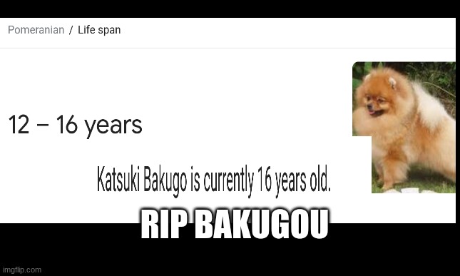 rip bakugou | RIP BAKUGOU | image tagged in rip | made w/ Imgflip meme maker