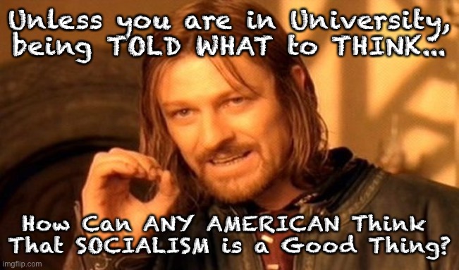 One Does Not Simply | Unless you are in University, being TOLD WHAT to THINK... How Can ANY AMERICAN Think 
That SOCIALISM is a Good Thing? | image tagged in memes,one does not simply | made w/ Imgflip meme maker