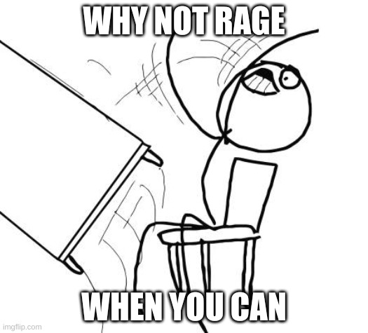 Table Flip Guy | WHY NOT RAGE; WHEN YOU CAN | image tagged in memes,table flip guy | made w/ Imgflip meme maker