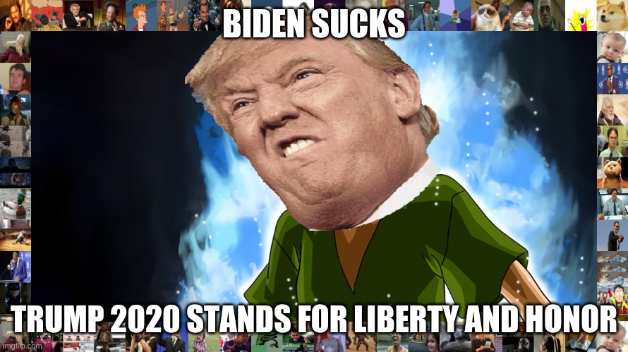 Ultra instinct shaggy | BIDEN SUCKS; TRUMP 2020 STANDS FOR LIBERTY AND HONOR | image tagged in ultra instinct shaggy | made w/ Imgflip meme maker