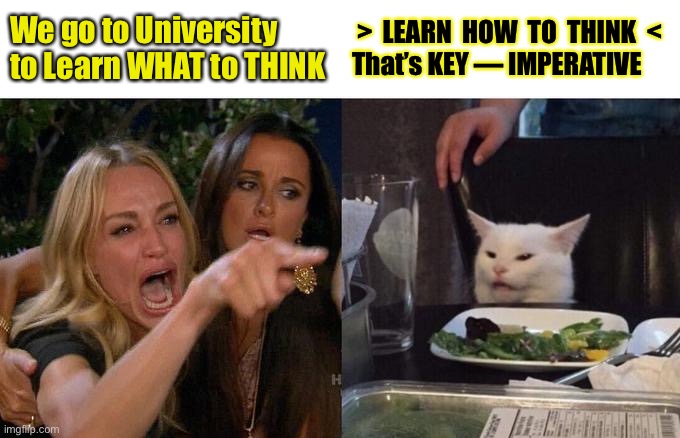 Woman Yelling At Cat Meme | We go to University to Learn WHAT to THINK; >  LEARN  HOW  TO  THINK  <
That’s KEY — IMPERATIVE | image tagged in memes,woman yelling at cat | made w/ Imgflip meme maker